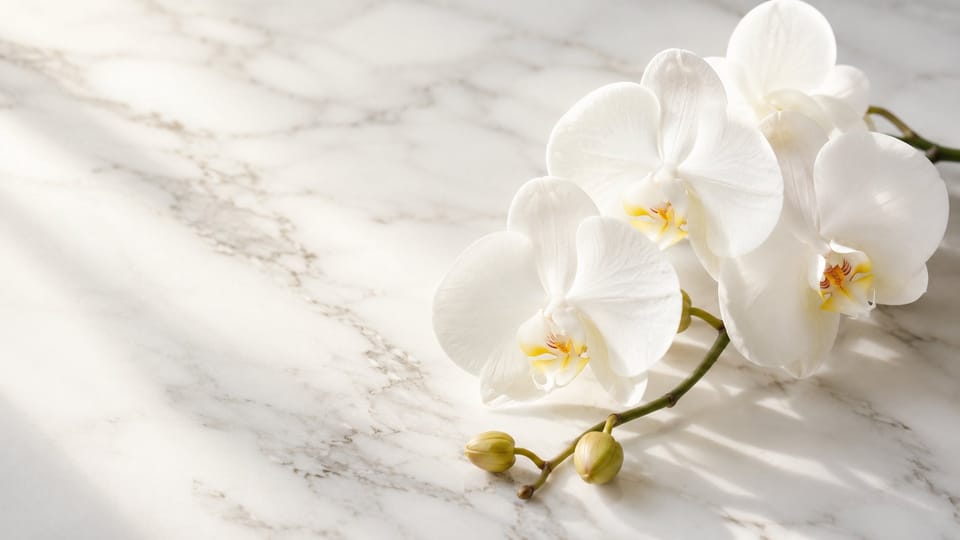 Adapalene (Differin) Là Gì? Retinoid Thế Hệ 3 Trị Mụn, Chống Lão Hóa Và Cách Dùng Đúng